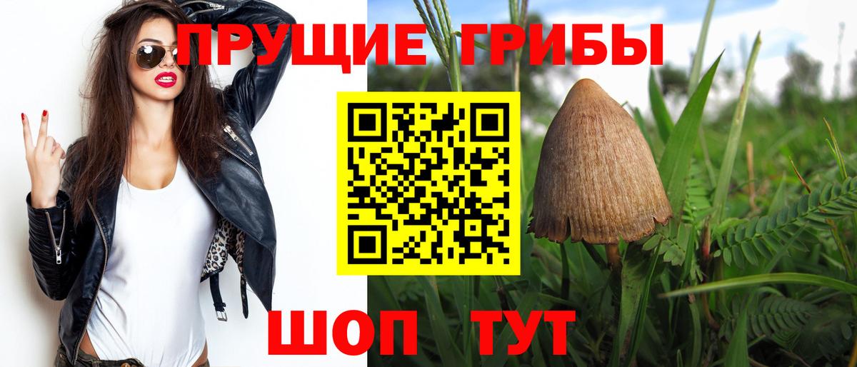 Псилоцибиновые грибы Magic Shrooms Дивногорск